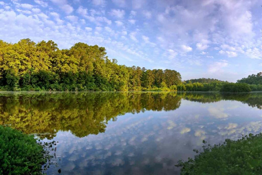 Lake at Hard Labor Creek State Park