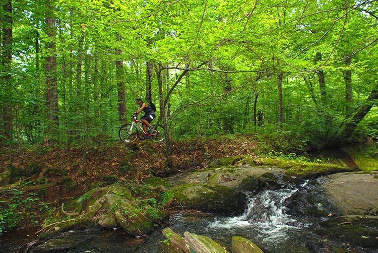 Mountain Biker rides trail beside flowing stream at Hard Labor Creek State Park | Georgia Attractions | Things to Do in Madison Georgia | Visit Madison GA