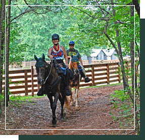 Horseback Riding | Best Small Towns In Georgia | Visit Georgia | Visit Madison GA