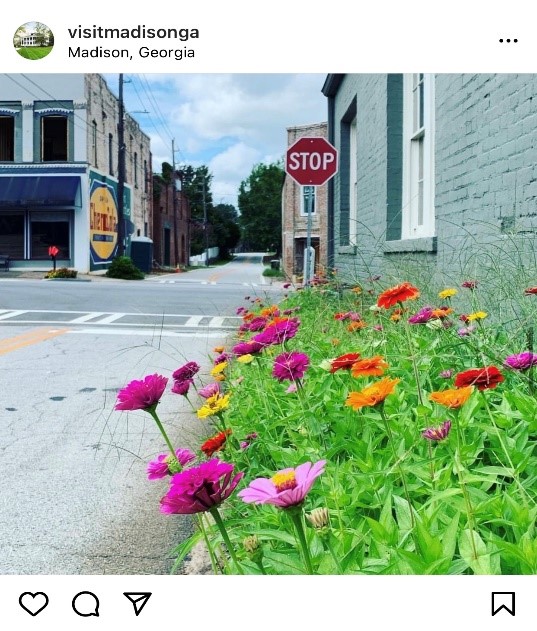 Instagram Posts of Madison in Bloom