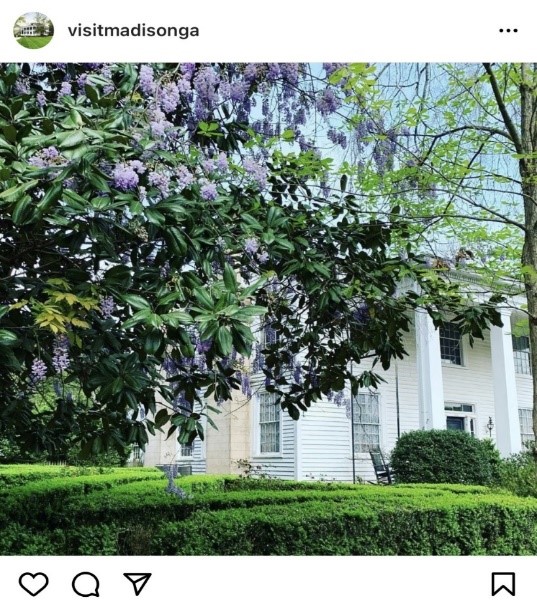Instagram shot of wisteria at the Stagecoach House during a spring vacation in Madison