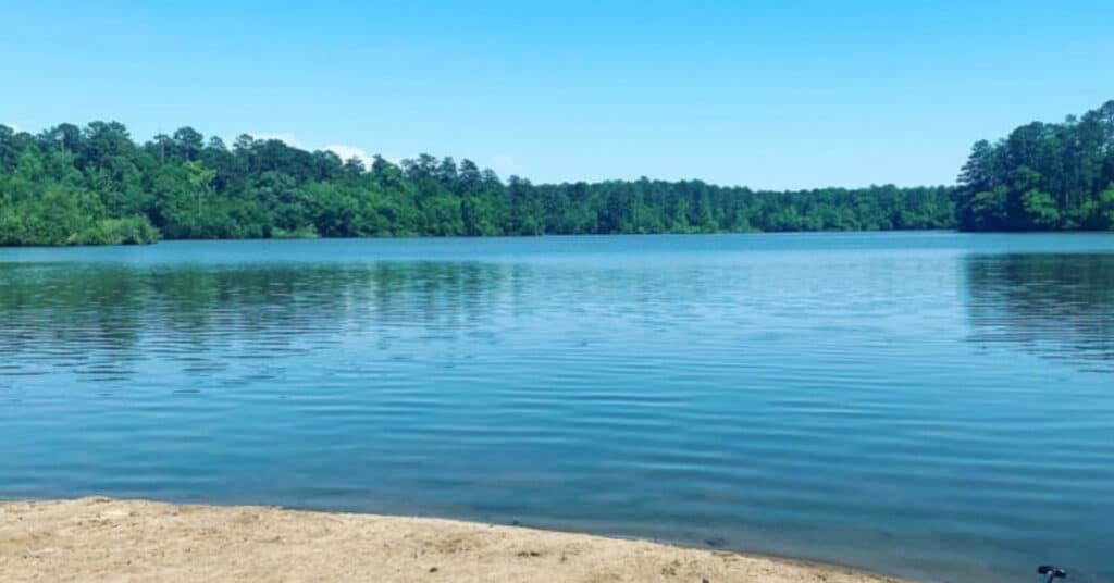 Sand beach at Hard Labor Creek State Park.