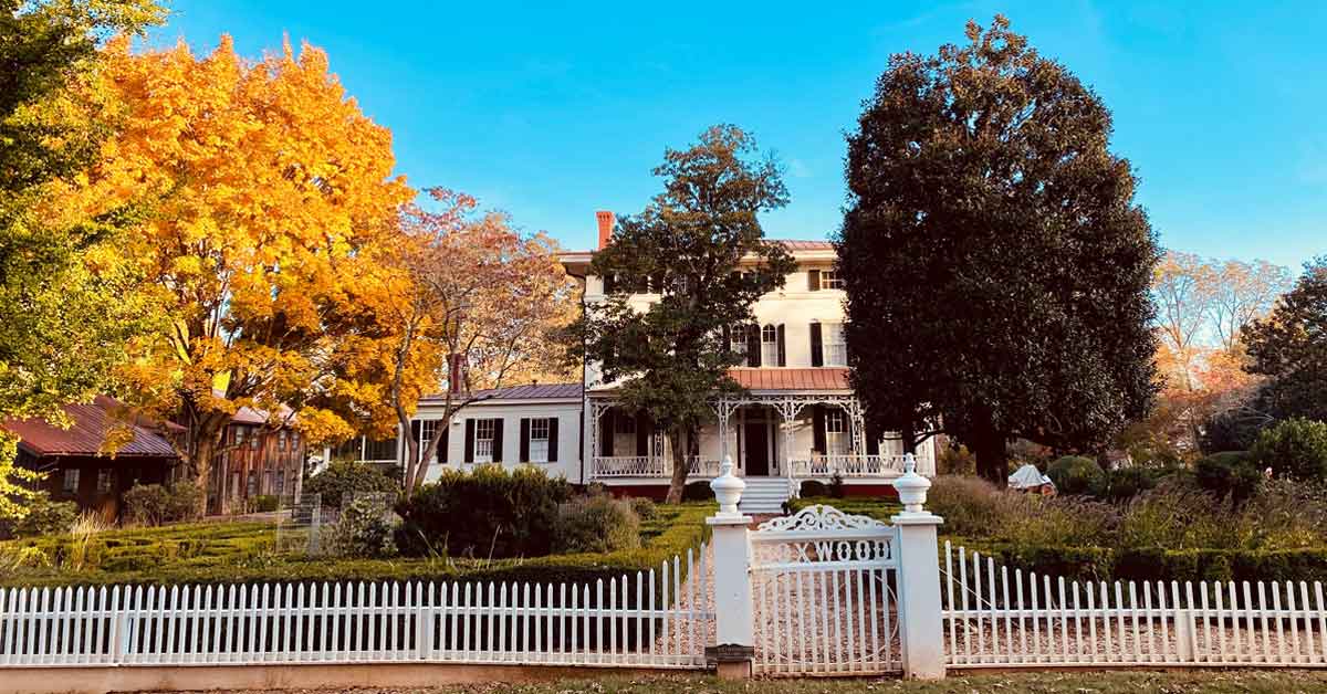 Boxwood fall foliage against a blue sky