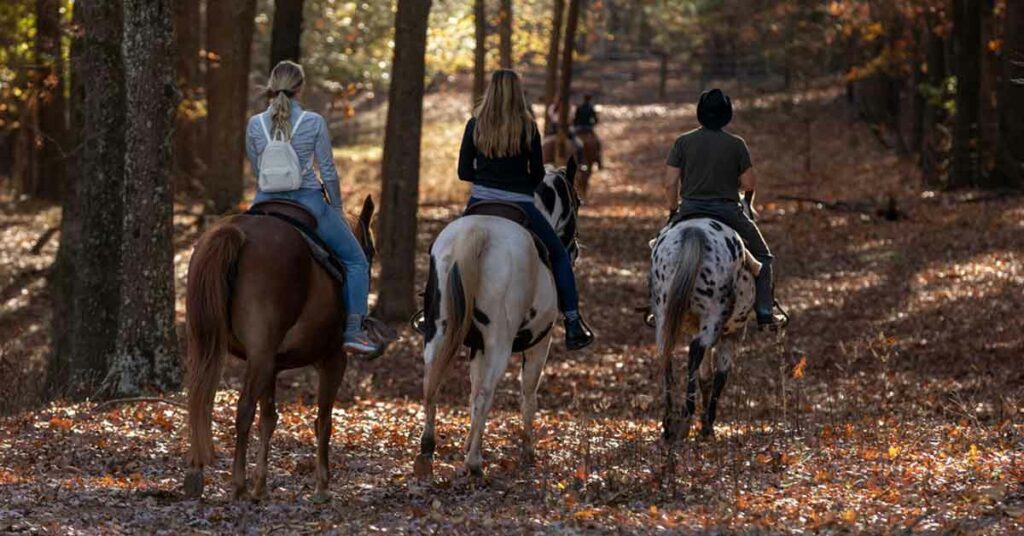 Horseback riding on trails is one of our favorite fall activities