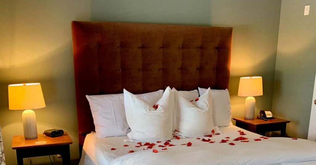 Rose petals on the bed at the James Madison Inn
