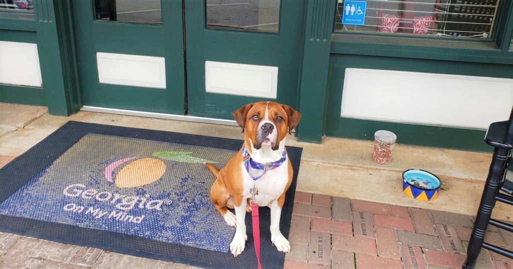 Visit our pet-friendly Welcome Center in Madison, Georgia