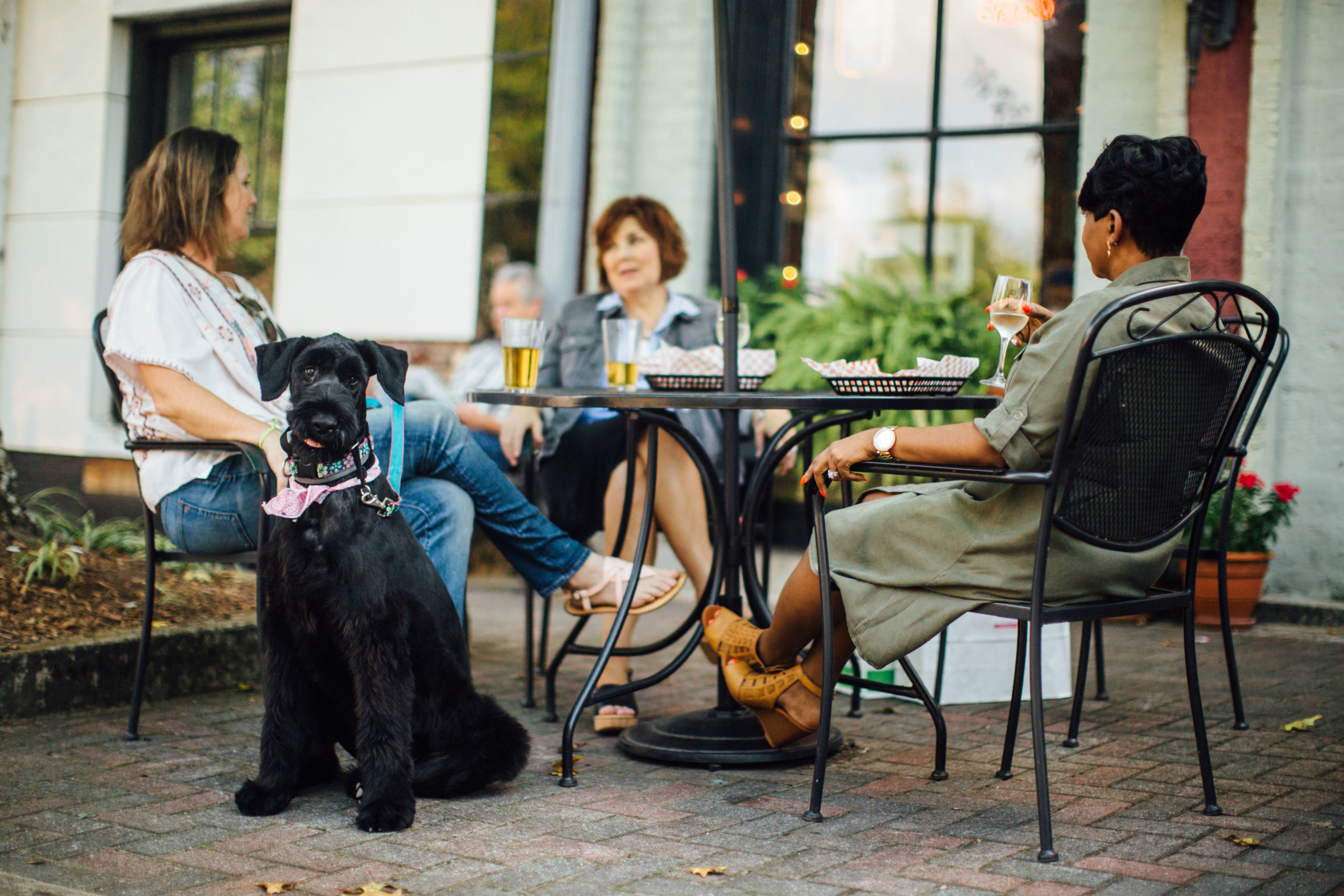 Women dining with a dog downtown on the sidewalks