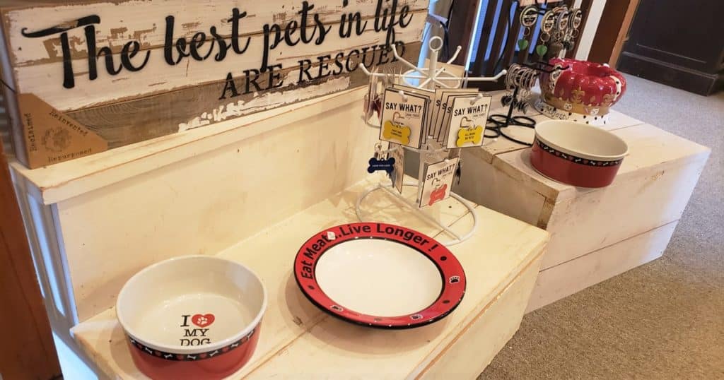 Dog bowls for sale at local retailers