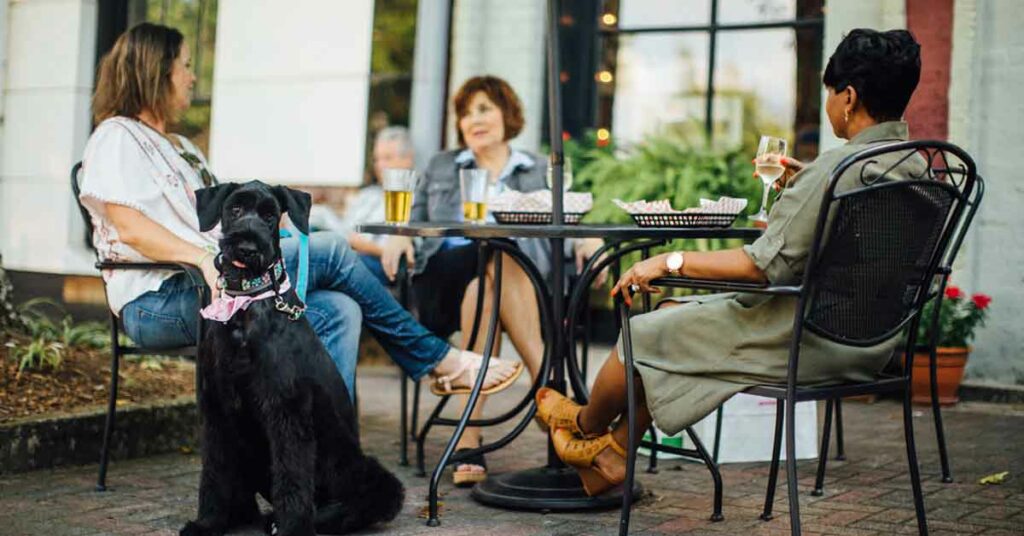 Restaurant patrons dine outside with their dog in the cool fall air