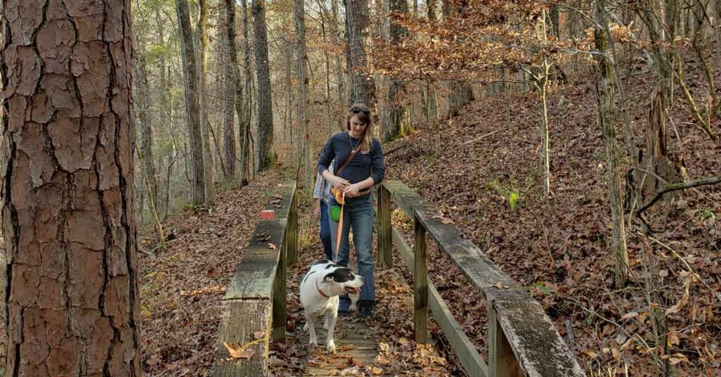 People on a fall walk the trails at Hard Labor Creek with a dog