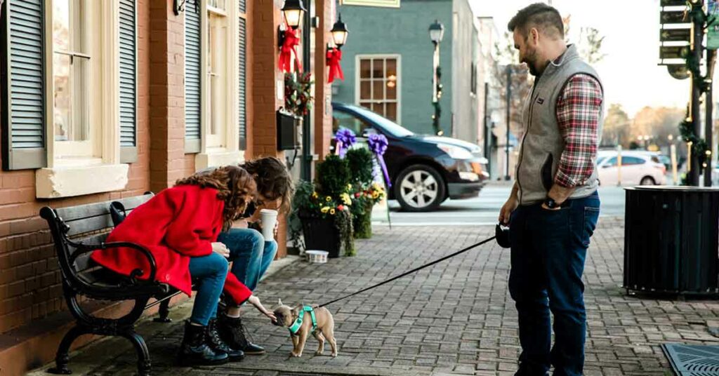 Fall stroll in downtown Madison with a dog