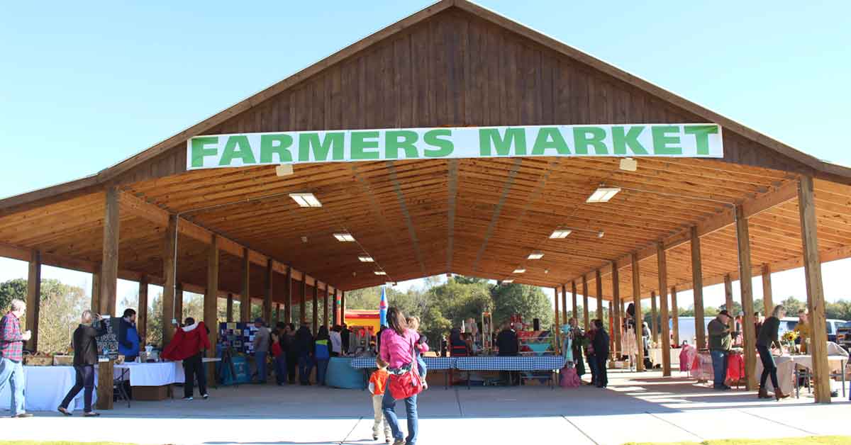 fall-festivals-events-in-madison-morgan-county-ga-official