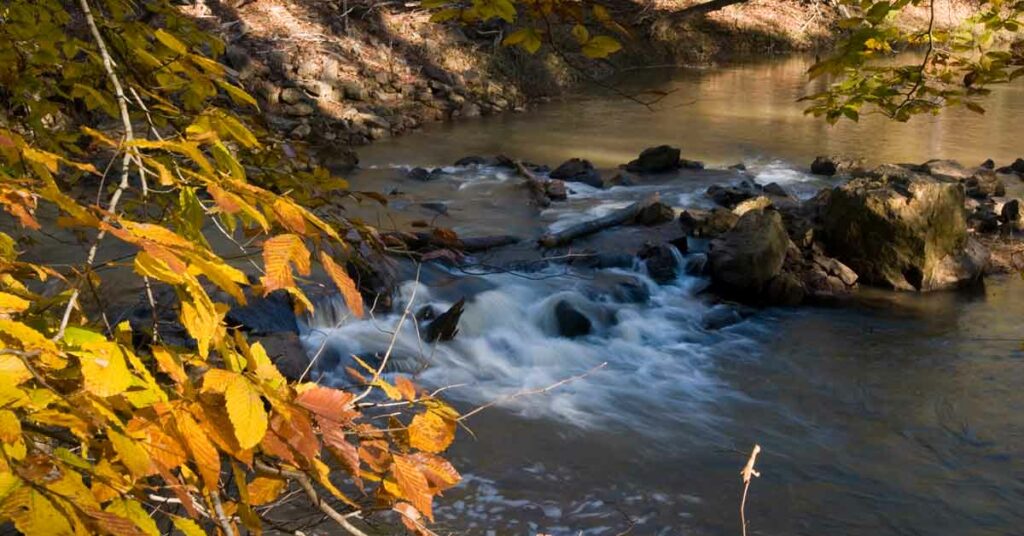 FallForMadisonGA Stream at Hard Labor Creek State Park