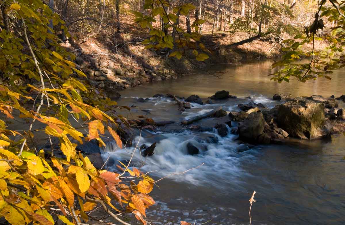 Creek at Hard Labor Creek State Park