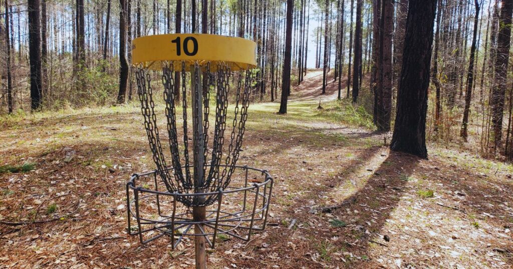 Disc golf course in the woods.