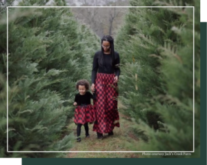Mother and child walking through Jack's Creek Christmas Tree Farm