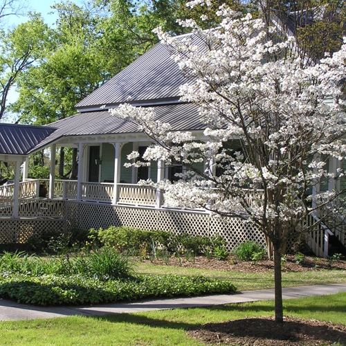 The-Brady-Inn-exterior-500x500_websize