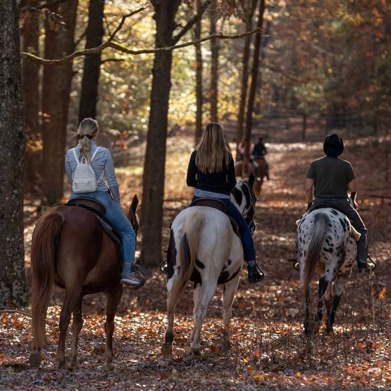 Horseback riding at Southern Cross Guest Ranch